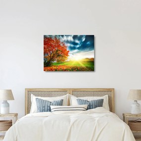 Obraz na szkle skąpanego w słońcu krajobrazu (70x50 cm)