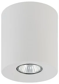 Oświetlenie punktowe ORION 1xGU10/10W/230V biały