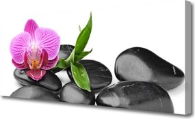 Obraz na płótnie Wyciszenie Zen: Kwiat i Kamień