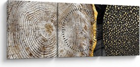 Obraz - Pień drzewa w kolażu 2 (z zegarem) (90x30 cm)