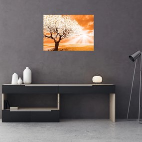 Obraz na szkle - pomarańczowy obraz drzewa (70x50 cm)