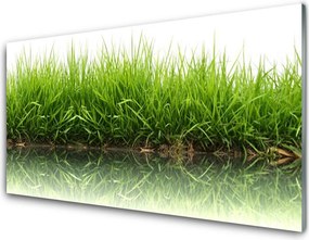 Panel Kuchenny Naturalna Świeżość Zieleni