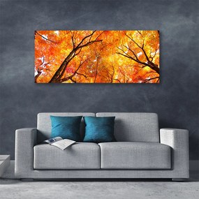 Obraz na płótnie Gęsty Las Liściasty