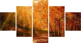 Obraz jesiennego lasu (125x70 cm)