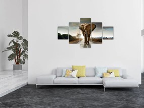 Obraz słonia (125x70 cm)