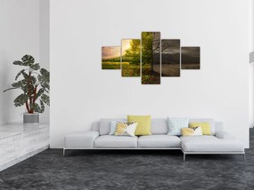 Obraz - Cykl życia (125x70 cm)