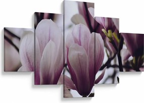 Obraz - Magnolia (125x70 cm)