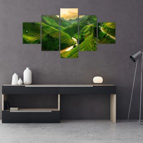Obraz - Tarasy ryżowe Mu Cang Chai (125x70 cm)