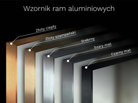 Lustro w ramie B18