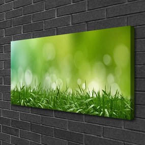 Obraz canvas Świeżość Zielonej Natury