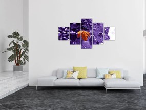 Obraz - Plaża morska (125x70 cm)