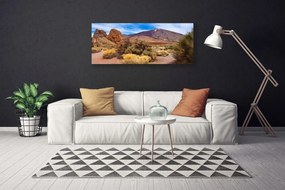 Duży obraz na płótnie Surowy Pejzaż Górski