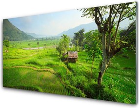 Szkło Dekoracyjne do Kuchni Sielska Zielona Łąka