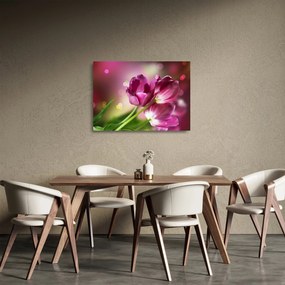 Obraz na szkle - różowe tulipany (70x50 cm)