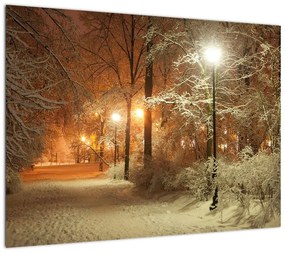 Obraz - Zaśnieżony park (70x50 cm)
