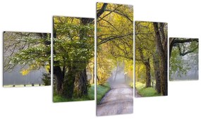 Zdjęcie - Smoky Mountains, Gatlinburg, USA (125x70 cm)