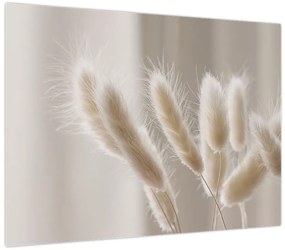 Obraz - Zajęcze ogonki (70x50 cm)