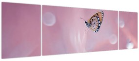 Obraz - Motylek (170x50 cm)