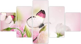Obraz - Motyl (125x70 cm)