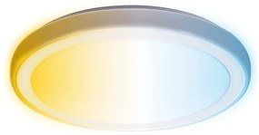 Aigostar - LED Plafon łazienkowy LED/24W/230V IP44 + pilot zdalnego sterowania