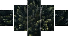 Obraz - Las (125x70 cm)