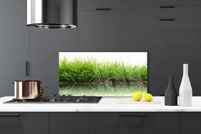 Szkło do Kuchni na Ścianę Świeżość Trawy Nad Wodą