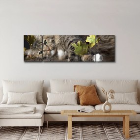 Obraz - Leżący kot (170x50 cm)