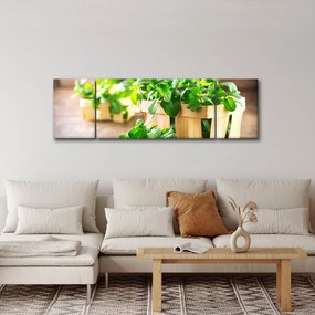 Obraz świeżej mięty (170x50 cm)