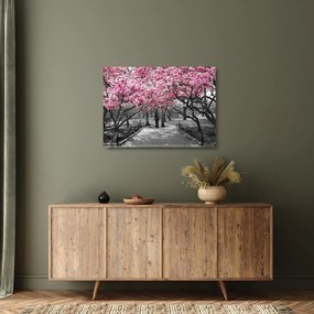Obraz na szkle drzew magnolii (70x50 cm)