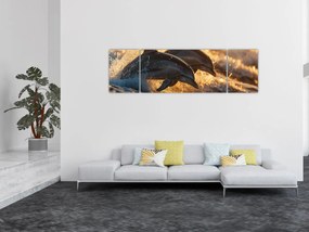 Obraz - Delfiny (170x50 cm)