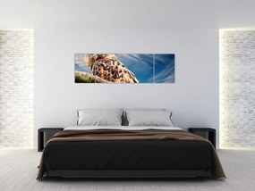 Obraz - Sowa (170x50 cm)