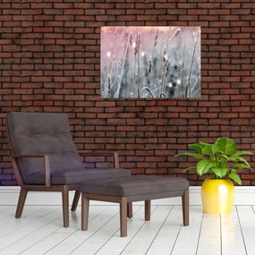 Obraz - Zimowy krajobraz (70x50 cm)