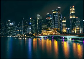 Obraz Singapuru nocą (70x50 cm)