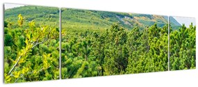 Obraz - Babia Góra, Polska (170x50 cm)