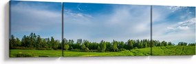 Obraz łąki (170x50 cm)