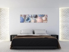 Obraz - Kolekcja muszli (170x50 cm)