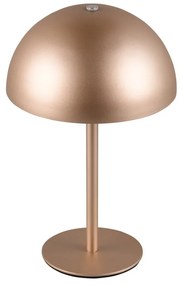 Lampa stołowa LED w kolorze brązu z metalowym kloszem (wysokość 21 cm) Munoz – Trio