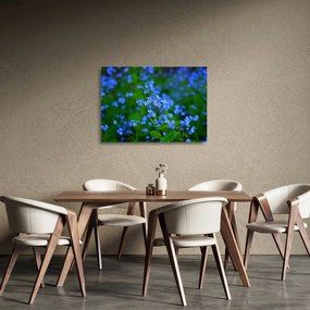 Obraz na szkle - niebieskie kwiaty (70x50 cm)