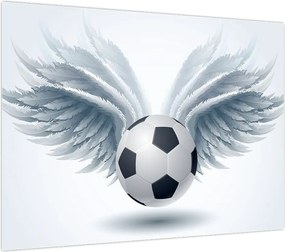 Obraz na szkle - Balon ze skrzydłami (70x50 cm)