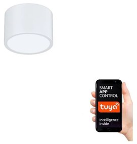 Immax NEO 07024L-15 - LED sufitowe ściemnialne RONDATE LED/12W/230V Tuya