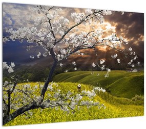 Obraz - Kwitnące drzewo w krajobrazie (70x50 cm)