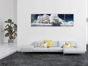 Obraz - Śnieżnobiałe drzewa (170x50 cm)