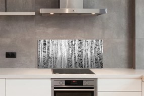 Szklany Panel Brzozy w Kontraście Czerni i Bieli