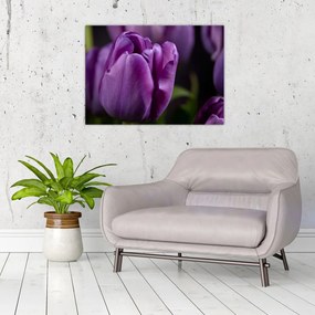 Obraz kwiatów tulipanów (70x50 cm)