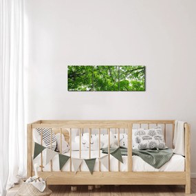 Obraz - Widok do korony drzewa (z zegarem) (90x30 cm)
