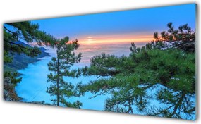 Panel Kuchenny Majestatyczne Drzewa W Lesie