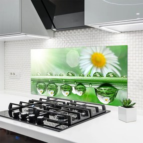 Szkło do Kuchni na Ścianę Rosa Na Stokrotkach