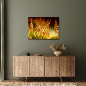 Obraz - Szczegół rosy (70x50 cm)