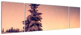 Obraz ośnieżonego drzewa na łące (170x50 cm)
