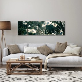 Obraz - Pajęczyna (170x50 cm)